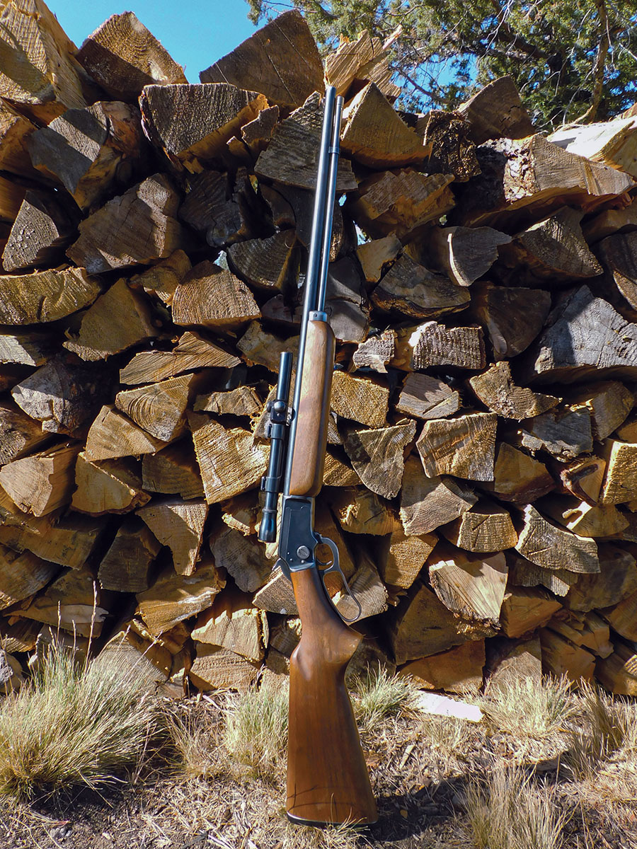 This Marlin 39A (circa 1947) has accounted for many a Belding’s ground squirrel, bushy-tailed grey digger and silver-grey tree squirrel and who knows what else in its long career.